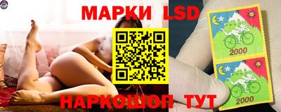 гидропоника Апшеронск