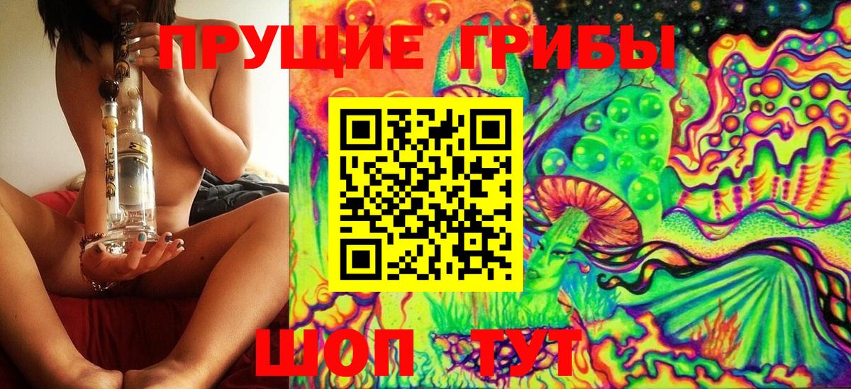 Галлюциногенные грибы Psilocybe  Вход с VPN  цена   Бердск 