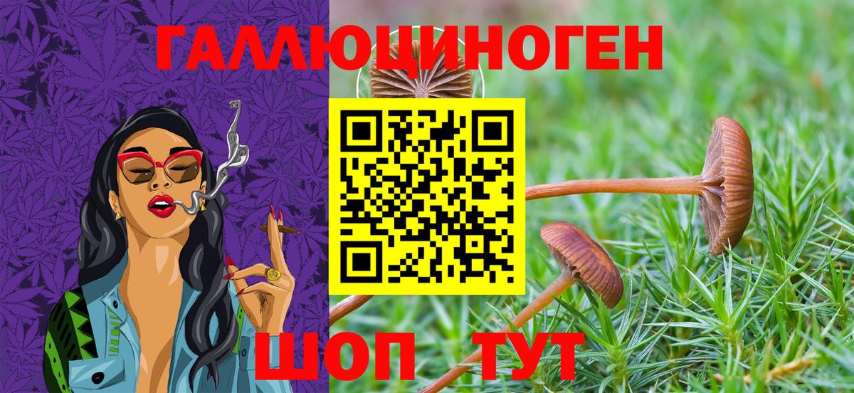 хочу   Псилоцибиновые грибы Magic Shrooms  Бердск  Галлюциногенные грибы мухоморы 