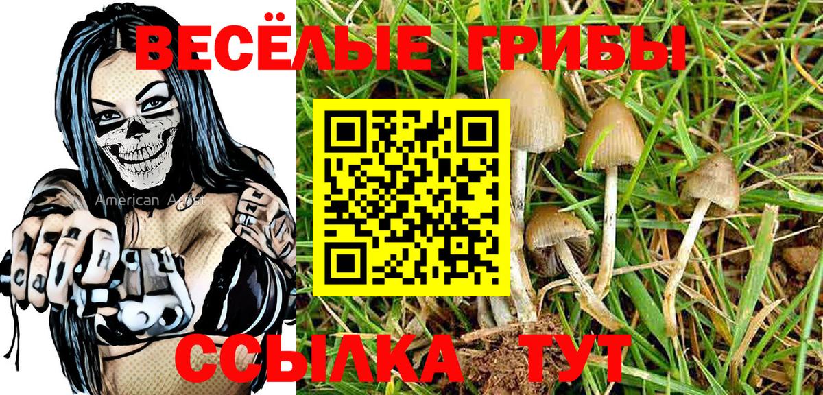 Галлюциногенные грибы Magic Shrooms Бердск