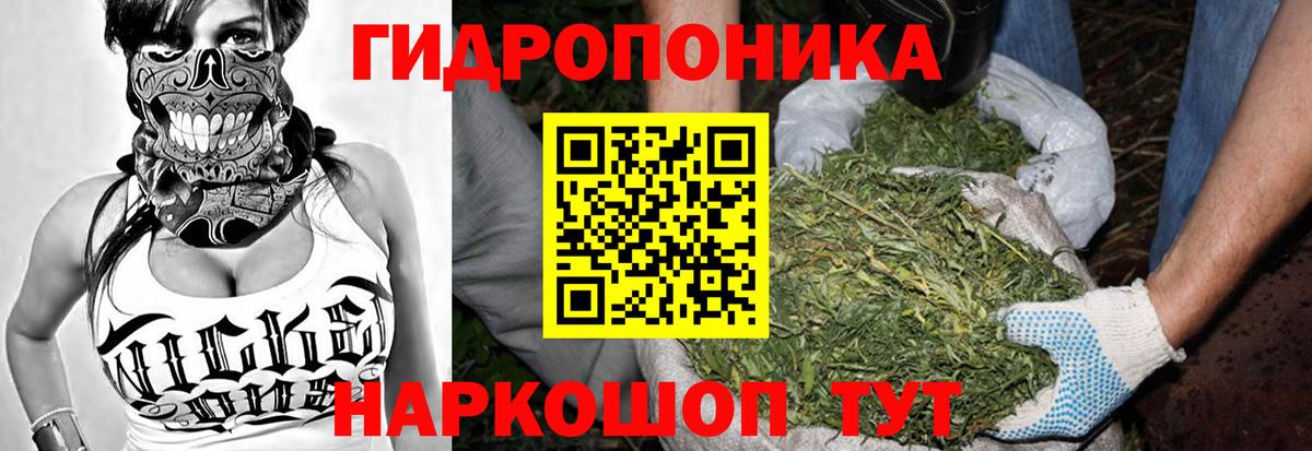 Шишки марихуана гибрид Бердск